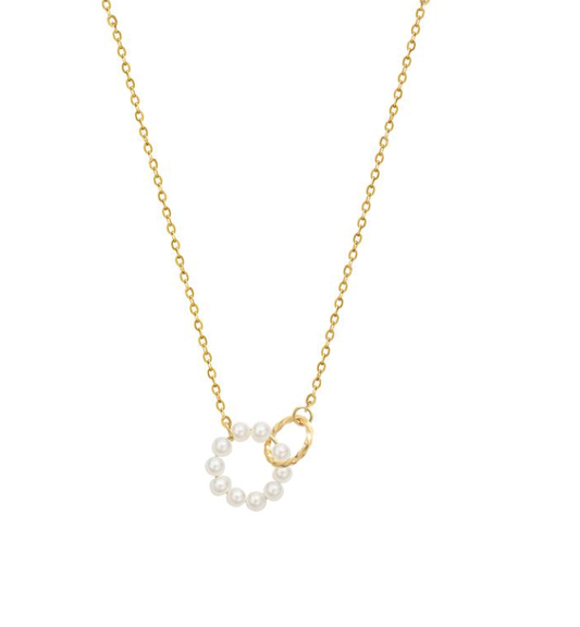 Enchanted Necklace