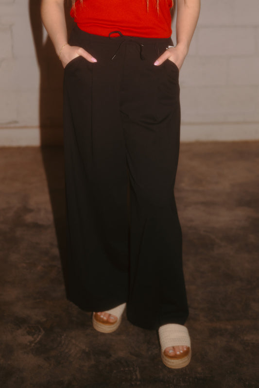 Liverpool Wide Leg Pleated Trouser