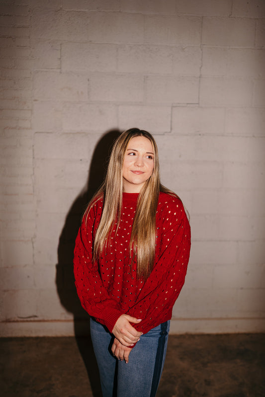 Elan Wide Neck Open Knit Sweater